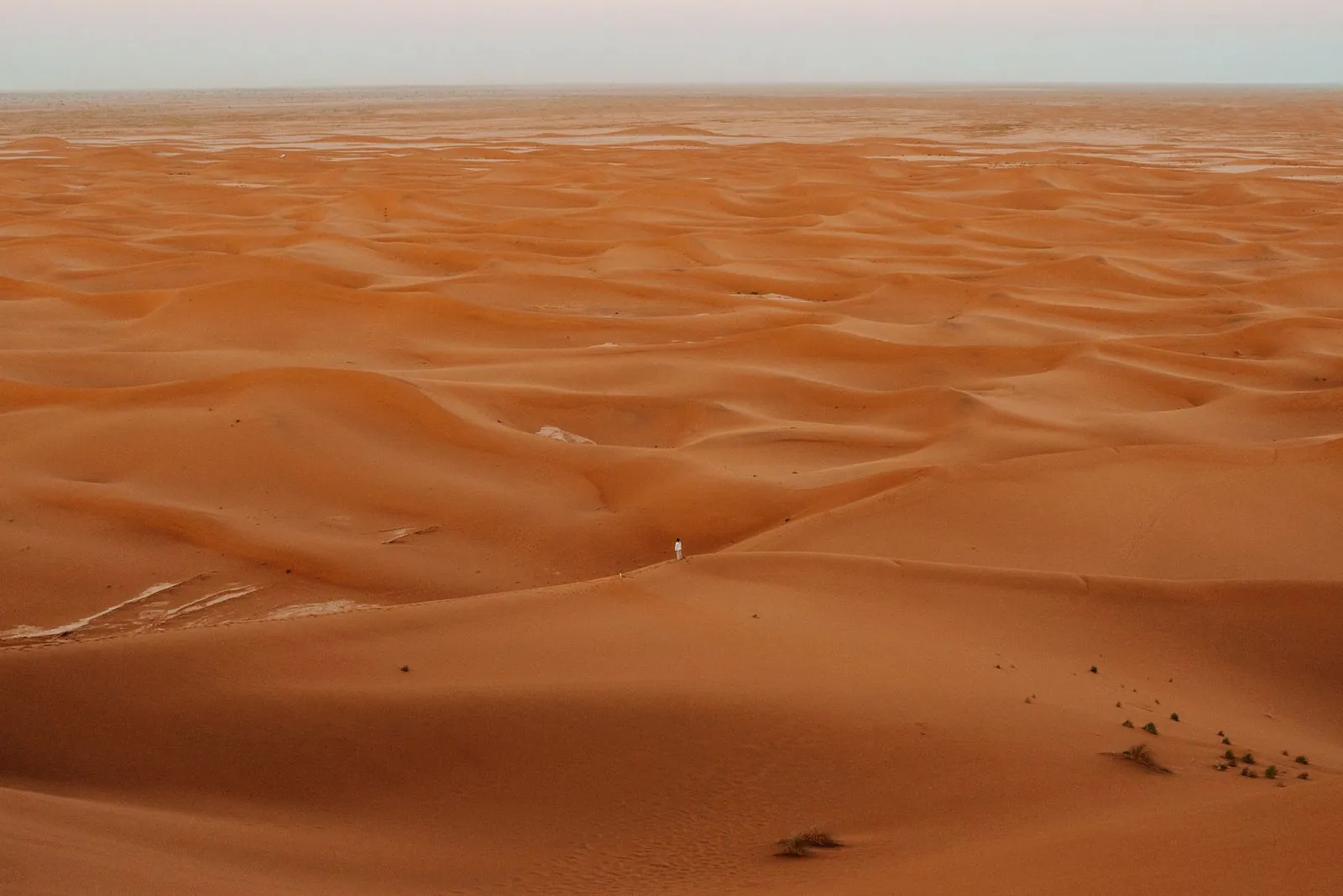 Sahara dunes at sunrise